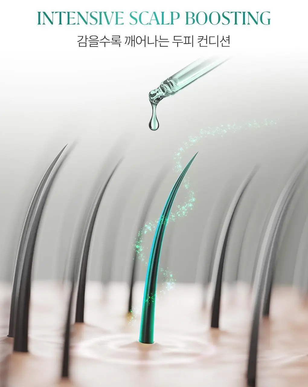 [헤어라인/힘없는두피모발용] 라우쉬 바서너블 카페인 리바이탈 샴푸 200ml 한정기획 상세페이지 15